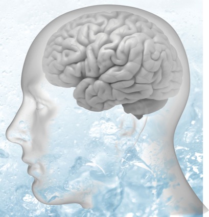 Figure 1 from Brain surface temperature under a craniotomy.