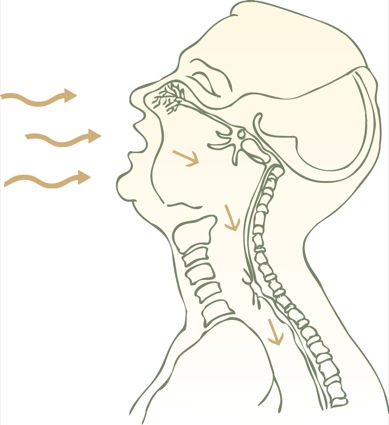 Current Concepts In the Management of The Difficult Airway