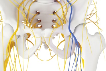 Continuous Femoral Nerve Block Key To Outpatient Total Joint Success